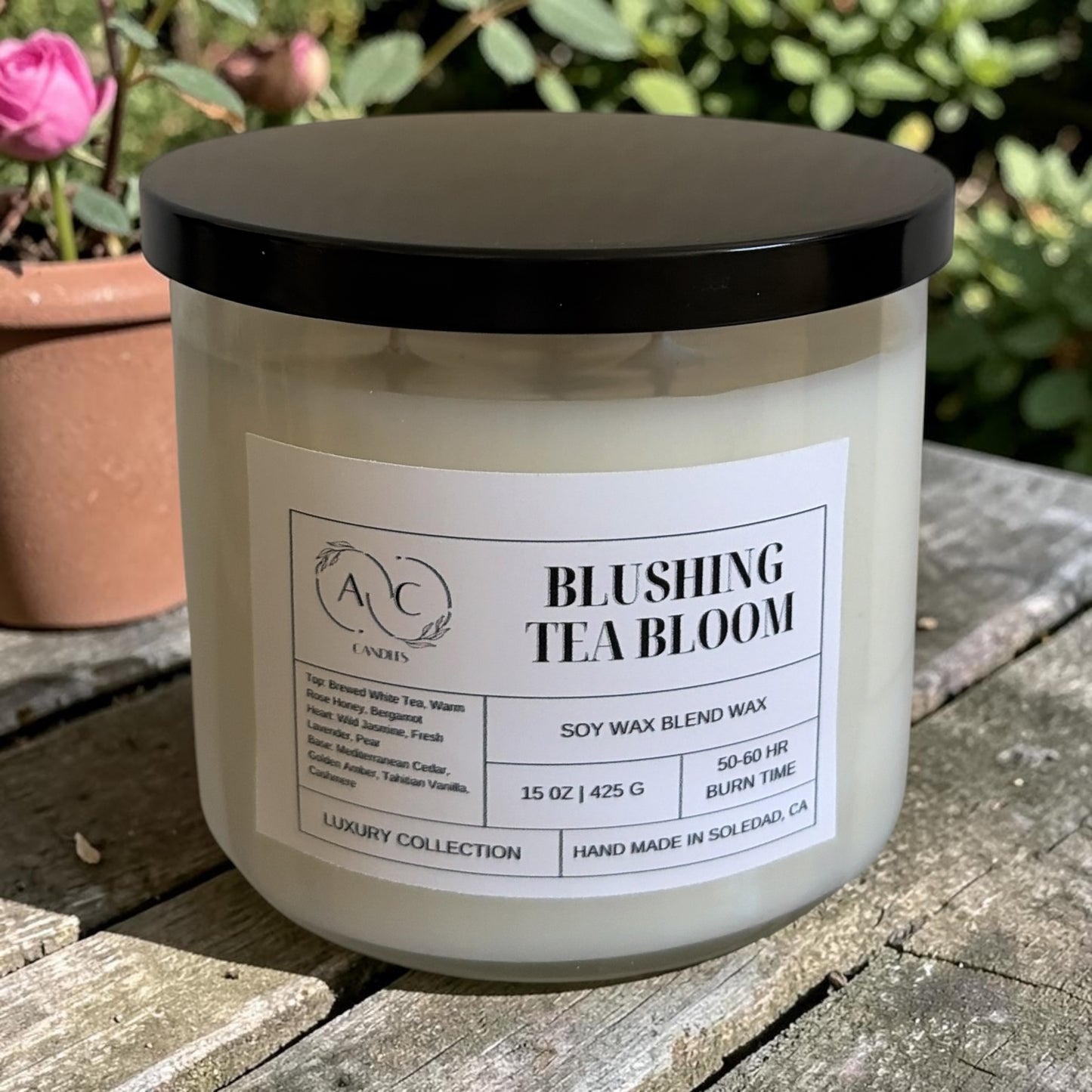 Blushing Tea Bloom