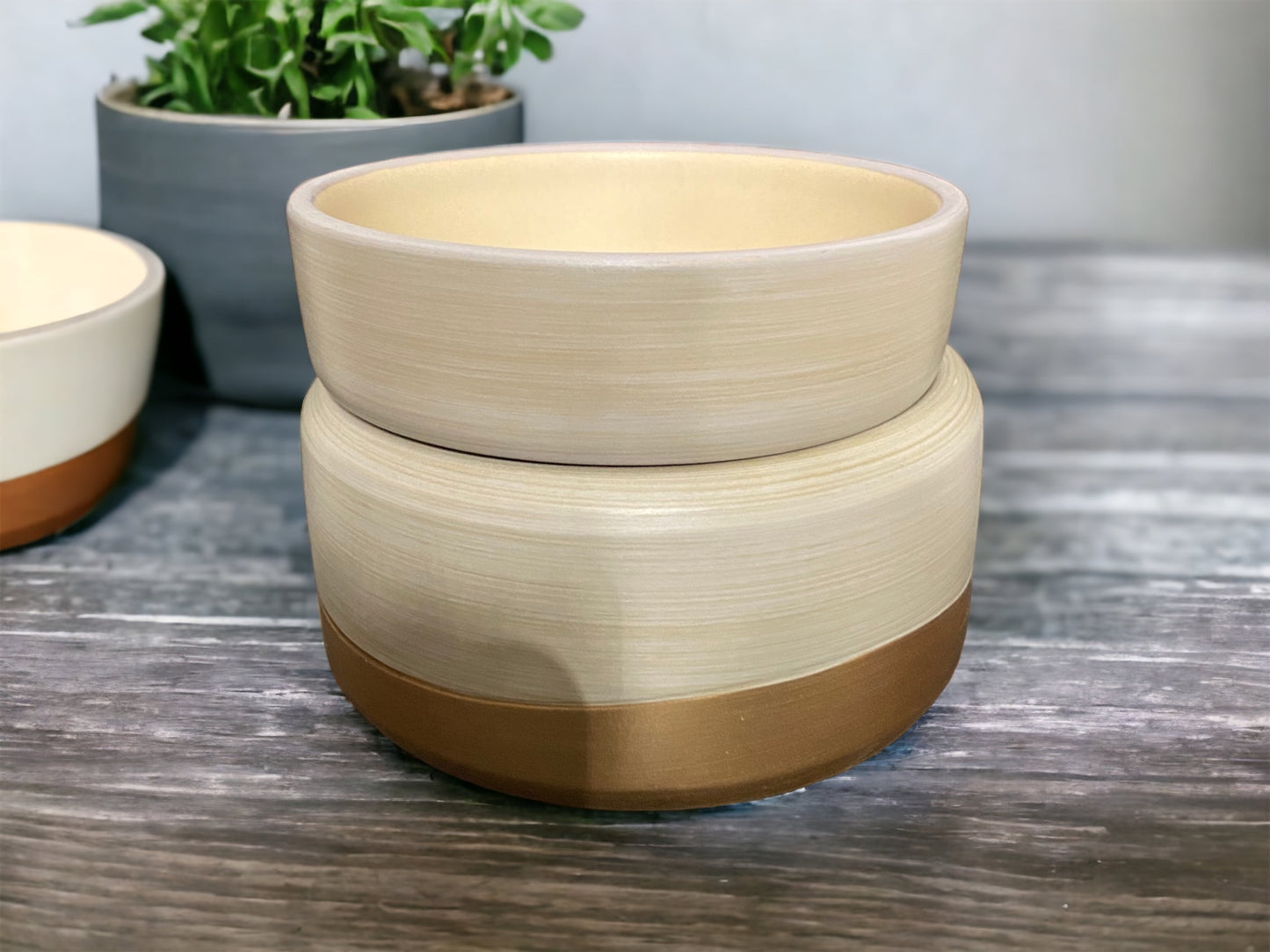 2--in-1 Classic Wax Warmer